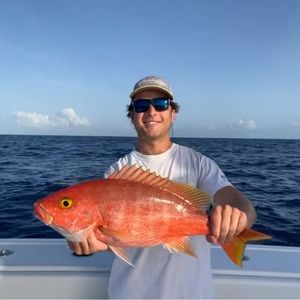 Meet your Posher, Ben